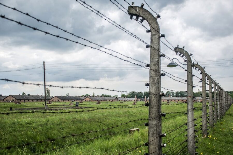 From Krakow: Auschwitz-Birkenau Guided Tour & Hotel Pickup - Birkenau’s scale: gas chambers, crematoria, and reflection time
