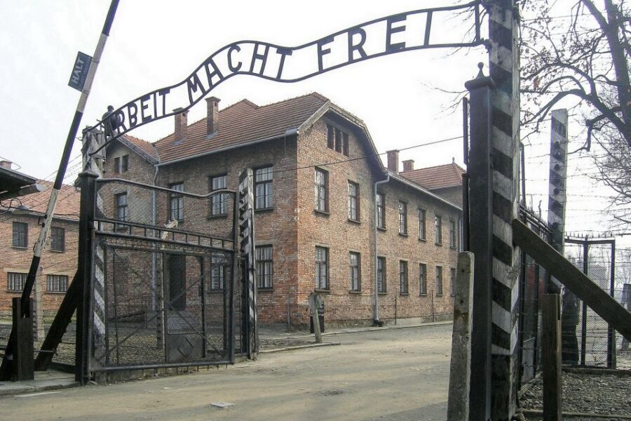 From Krakow: Auschwitz-Birkenau Guided Tour & Hotel Pickup - How the licensed historian guide shapes what you take home