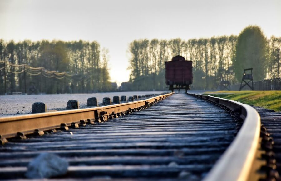 From Krakow: Auschwitz-Birkenau Guided Tour & Pickup - Who this tour suits best