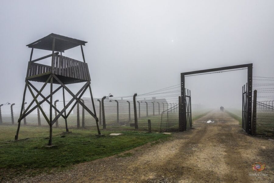 From Krakow: Auschwitz-Birkenau Guided Tour & Pickup - Price and value: why $10 can still feel like a full-day deal