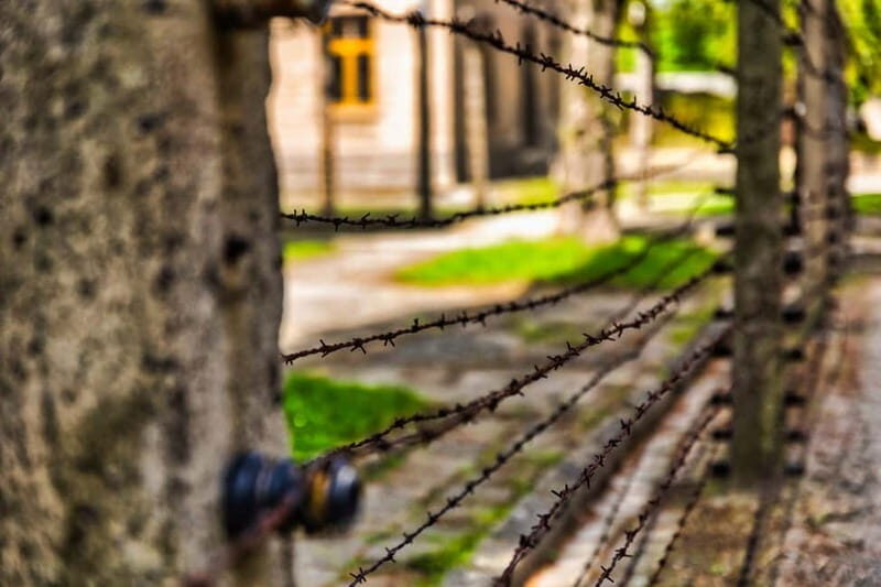 From Krakow: Auschwitz-Birkenau Guided Tour & Transport - Who should book this Auschwitz day trip from Kraków