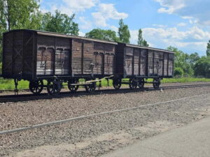 From Krakow: Auschwitz-Birkenau Guided Tour with Pickup - Timing and Pickup: Why Your Departure Might Feel Extremely Early