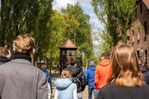 From Krakow: Auschwitz-Birkenau Guided Tour with Transport - Skip-the-Line Ticketing: What It Means in Real Life