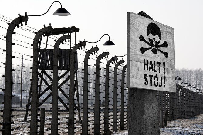 From Krakow: Auschwitz-Birkenau Memorial and Museum Guided Tour - What to Bring and How to Plan Your Day