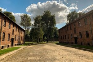 From Krakow: Auschwitz-Birkenau Memorial and Museum Tour - From Krakow: transportation, WiFi, and the pace of the day