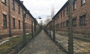 From Krakow: Auschwitz Birkenau Self-Guided Tour - The self-guided format: how the guidebook and leader support actually work