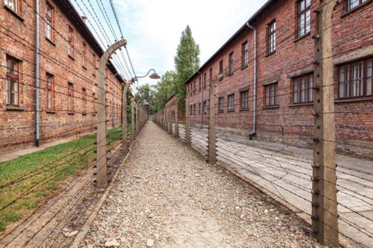 From Krakow: Auschwitz Birkenau Tour with Transfer - Ticket access and the brochure-led route: what the self-guided option really means