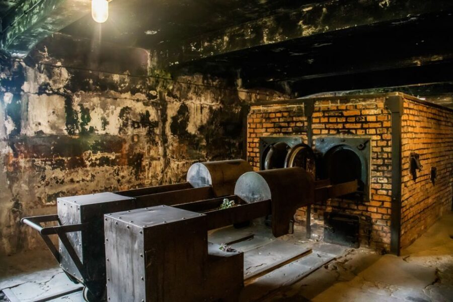 From Krakow: Auschwitz-Birkenau Tour with Transportation - Guides, hosts, and the difference between self-guided and guided options