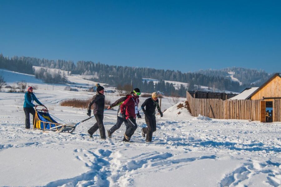 From Krakow: Dogsled Ride in Tatra Mountain - Price and Value: Is $391 Worth It for 210 Minutes?