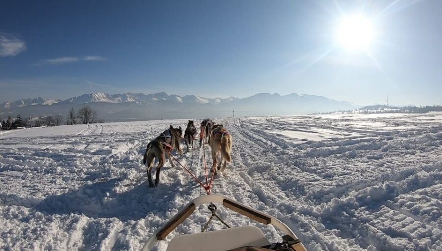 From Krakow: Dogsled Ride in Tatra Mountain - Winter Changes: Snow, Carts, and Weather Reality