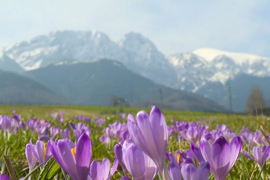 From Krakow: Full-Day Tour of Zakopane and Tatra Mountains - Kraków to Zakopane: a day built around the ride