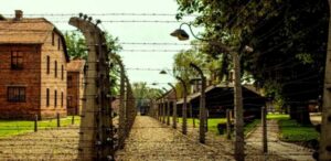 From Krakow: Guided Auschwitz-Birkenau Group Tour by Minivan - Pickup in central Krakow, then a straight shot to the memorial