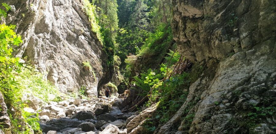 From Krakow: Hiking in the Tatra Mountains and Thermal baths - Tatras photo stops: building a view-filled route without wasting time