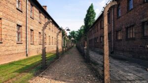 From Krakow: Roundtrip Transportation to Auschwitz Birkenau - Getting There from Krakow: Pickup Timing and What the Ride Feels Like