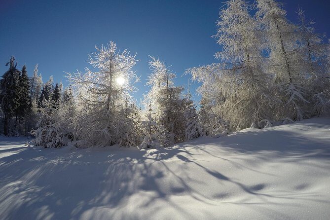 From Krakow: Siepraw Skiing for Beginners - Choose Your Support Level: Independent, Instructor, or Rentals