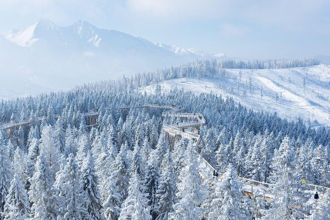 From Kraków: Slovakia Treetop Walk and Bachledka Ski - Treetop Walk in the forest: pacing, views, and what to watch for