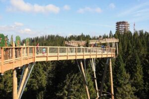From Kraków: Slovakia Treetop Walk Bachledka and Zakopane - Bachledka Treetop Walk in Ždiar: forest canopy at arm’s reach