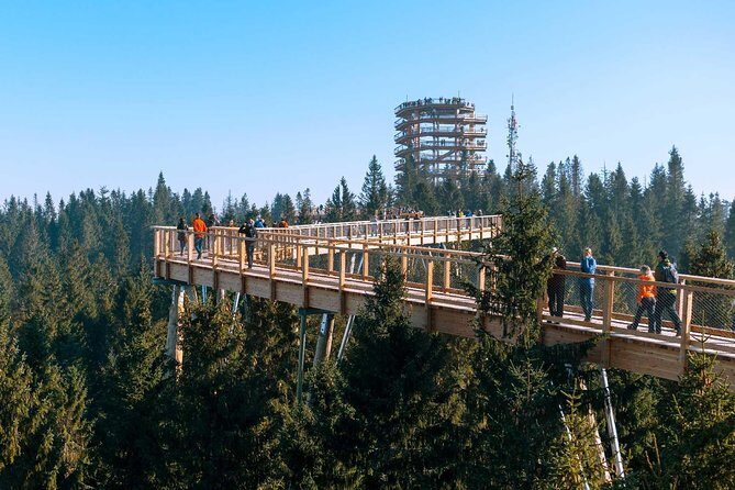From Kraków: Slovakia Treetop Walk Bachledka and Zakopane - Price and logistics: what $289.63 buys you (and what it doesn’t)