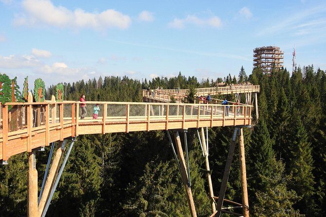 From Kraków: Slovakia Treetop Walk Bachledka and Zakopane - Bachledka Treetop Walk in Ždiar: forest canopy at arm’s reach