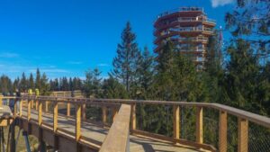 From Krakow: Slovakia Treetop Walk, Zakopane & Thermal Spa - Bachledka Treetop Walk in the Pieniny National Park: 24 Meters Up in a Real Forest