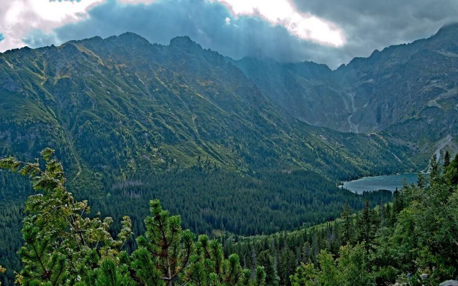 From Krakow: Tatra Mountains and Morskie Oko Hike - Your guide’s role: pace, safety, and real answers