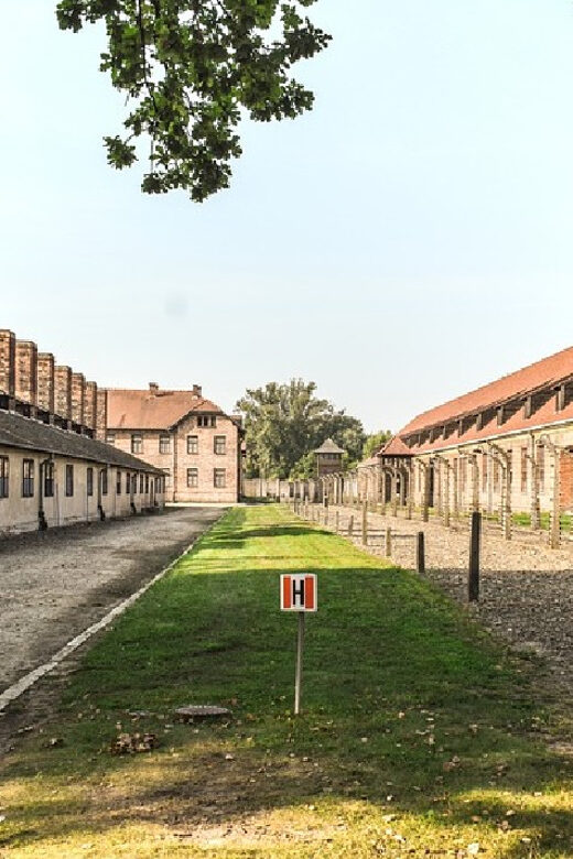From Krakow: Wieliczka Salt Mine & Auschwitz Guided Trip - Should You Book This Auschwitz and Wieliczka Guided Day?