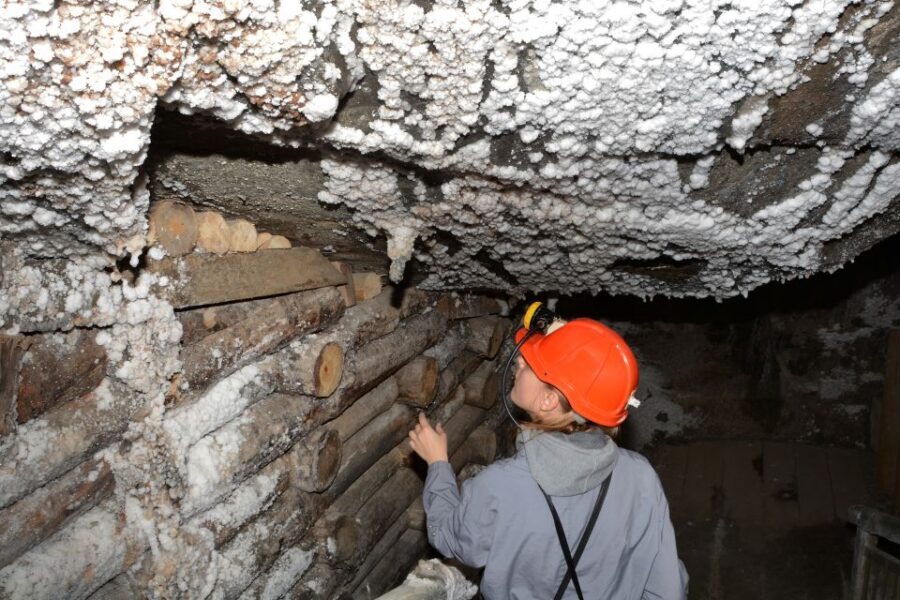 From Krakow: Wieliczka Salt Mine Half-Day Guided Tour - Your Guide Matters: English Tours, Headsets, and the Pace