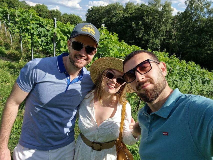 From Krakow: Wine Tasting at Vineyard - What you taste: four local wines and ciders