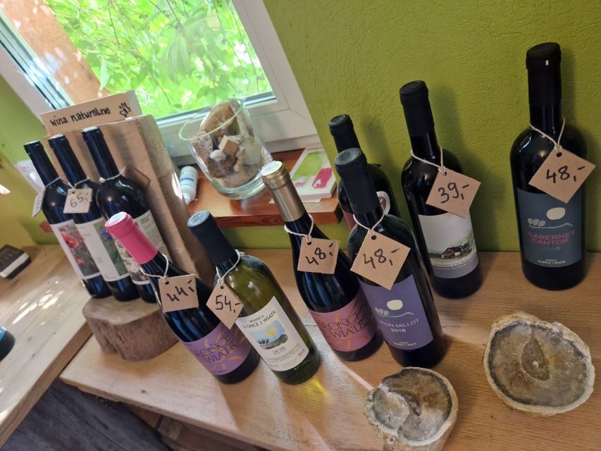 From Krakow: Wine Tasting at Vineyard - Organic vineyard walking: why this part is more than a photo stop