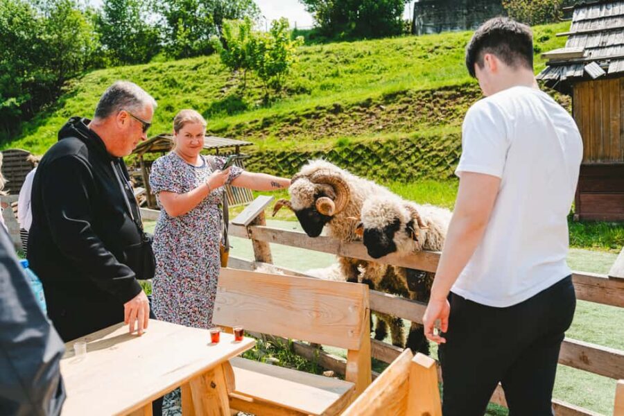 From Kraków: Zakopane & Chochołów A Wooden Jewel of Podhale - Bacówka u edka: Polish cheese, spirits, and a no-stress taste stop