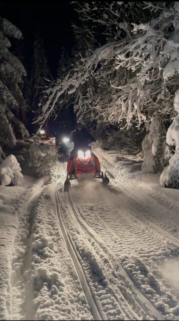 From Krakow: Zakopane Snowmobile NIGHT Ride, Bonfire, - Krakow to Zakopane: The 1.5-Hour Drive That Sets the Mood