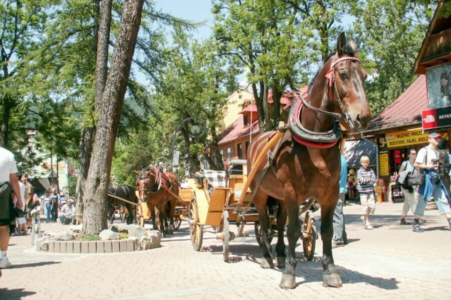 From Krakow: Zakopane & Tatra Mountains Tour - Price and value: what $122 covers, and what you’ll likely pay extra
