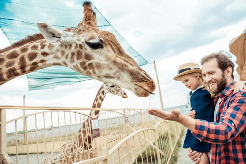From Krakow: Zoo Trip with Private Luxury Transfer - Door-to-door in Kraków: what the transfer + skip-the-line means