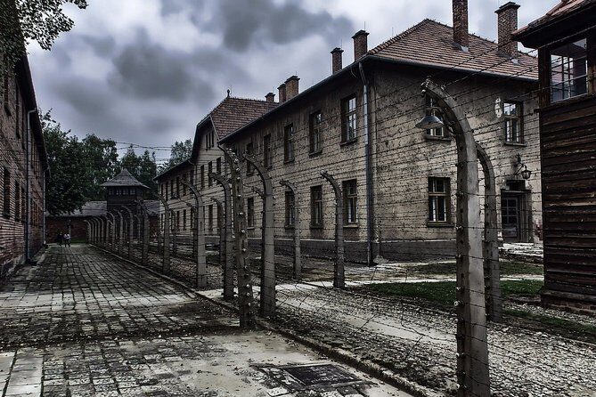 Full-Day Auschwitz-Birkenau and Salt Mine from Krakow - Why this Krakow day trip matters so much