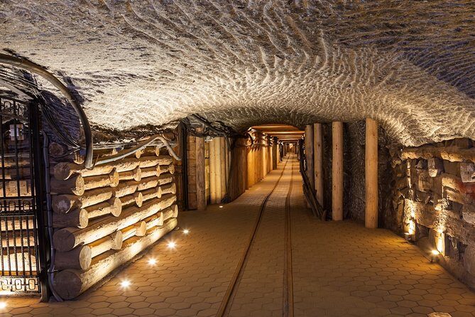 Full-Day Auschwitz-Birkenau and Salt Mine from Krakow - The long day: walking, comfort, and planning for food