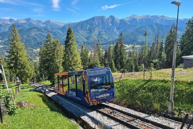 Full-Day Private Tour of Slovakia Treetop Walk and Zakopane - Bachledka Treetop Walk in Slovakia: cable car option, photos, and muddy paths