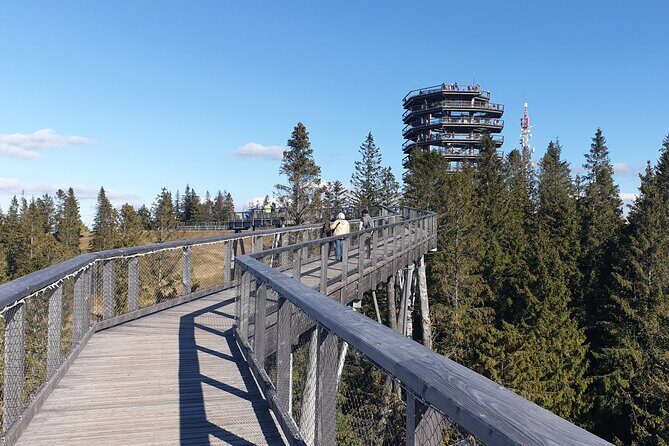 Full-Day Private Tour of Slovakia Treetop Walk and Zakopane - Gubałówka Hill funicular: quick climb to Tatra viewpoints