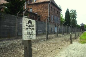 Full-Day Tour of Auschwitz and Wieliczka Salt Mine from Krakow - Auschwitz-Birkenau with a museum-licensed English guide