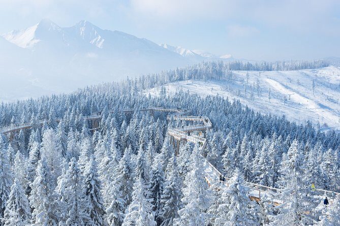 Full-Day Tour of Zakopane and Sky Walk Heart of Poronin - Sky Walk Heart of Poronin: views on a treetop wooden path