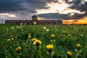 Guided Tour Krakow to Auschwitz-Birkenau with pickup options - The Ride Out: Air-Conditioned Bus and Short Breaks