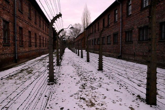 Guided tour to Auschwitz Birkenau museum from Krakow with lunch - Skip-the-line entry and museum rules that can trip you up