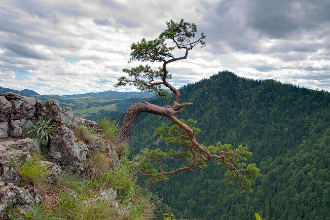 Half-Day Dunajec River Rafting tour from Krakow - Key Things That Make This Dunajec Rafting Tour Worth It