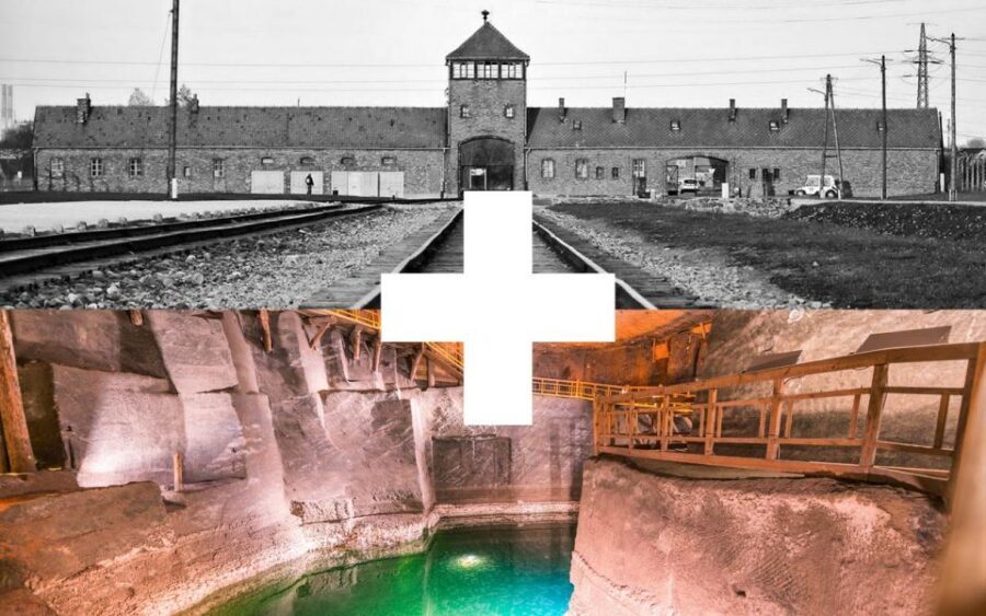 Krakow: Auschwitz-Birkenau and Salt Mine Guided Tour - Price and what you’re really paying for
