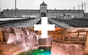 Krakow: Auschwitz-Birkenau and Salt Mine Guided Tour - Morning logistics: early pickup, clear transitions, and real time pressure