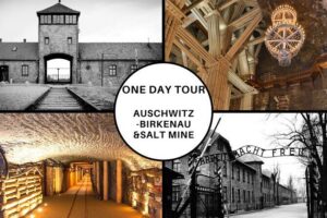 Krakow: Auschwitz-Birkenau and Salt Mine Guided Visits in One Day - Auschwitz II (Birkenau): what you’ll do in about an hour