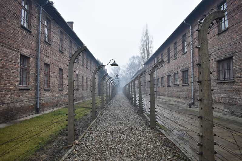 Krakow: Auschwitz-Birkenau Day Trip with Tour Leader - Key highlights to zero in on
