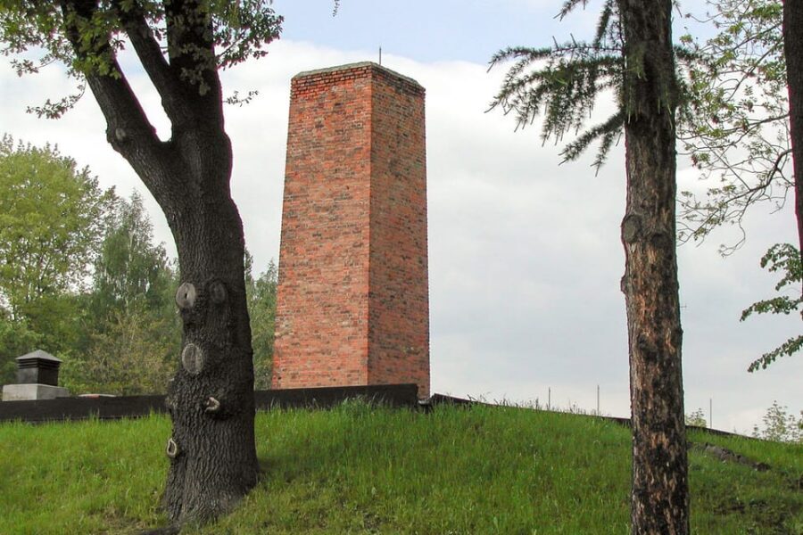Krakow: Auschwitz-Birkenau Day Trip with Tour Leader - What to bring (and what you must skip)