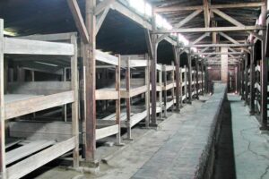 Krakow: Auschwitz-Birkenau Day Trip with Tour Leader - Pickup, timing, and how the 8-hour schedule really feels