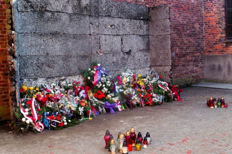 Krakow: Auschwitz-Birkenau Day Trip with Tour Leader - How the “self-guided with tour leader support” format works