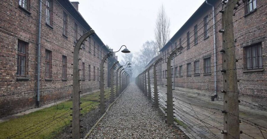 Krakow: Auschwitz-Birkenau Day Trip with Tour Leader - Price and value: why $37 can make sense (and when it doesn’t)